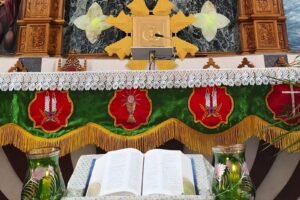 WhatsApp Image 2026-01-25 at 9.36.23 AM